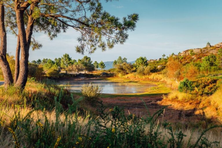 Policy to Balance Development and Conservation Finalized